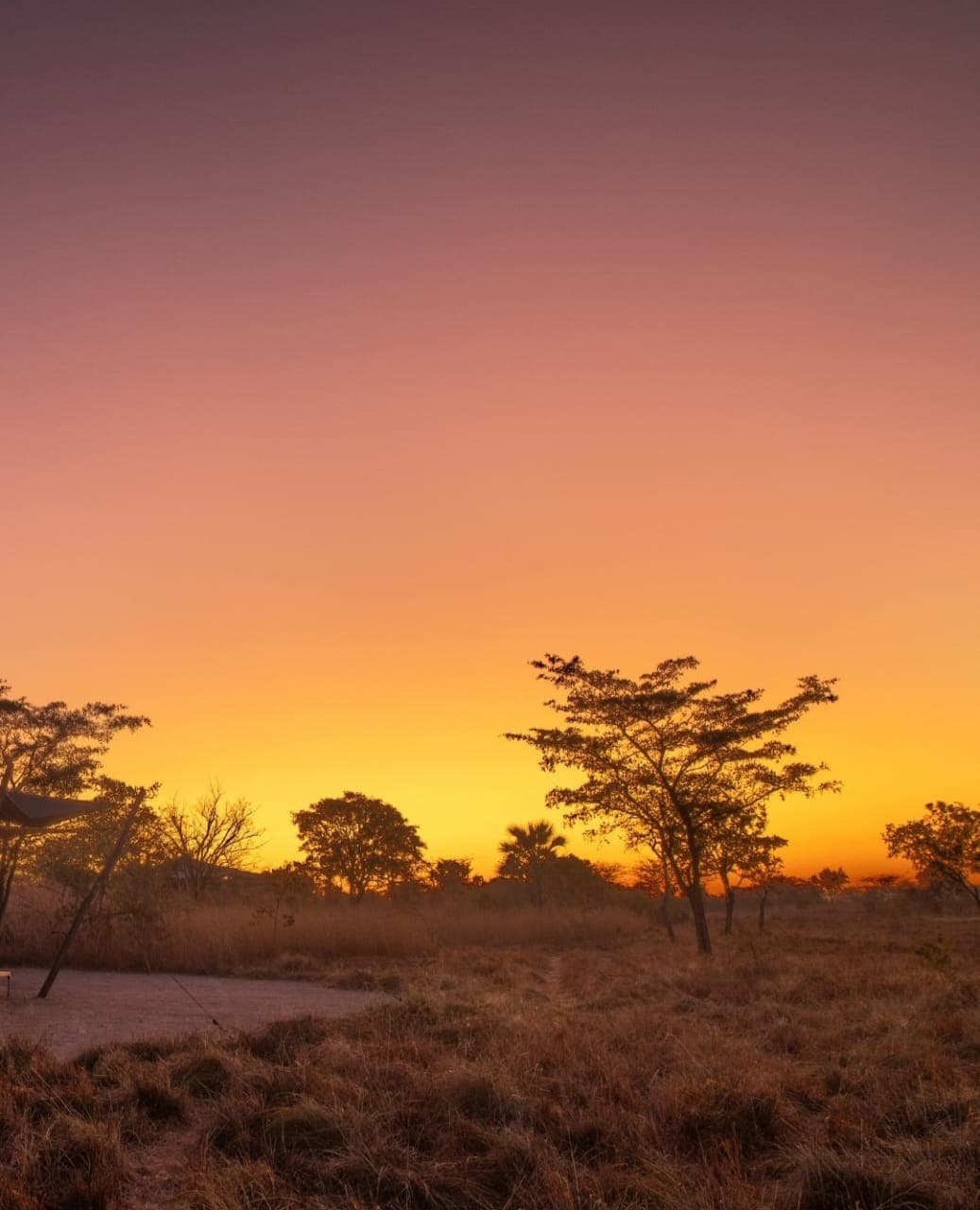 Best Time to Visit Mikumi National Park