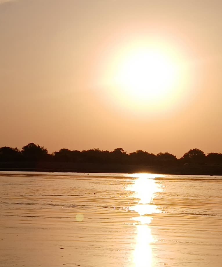 Nyerere safari photo