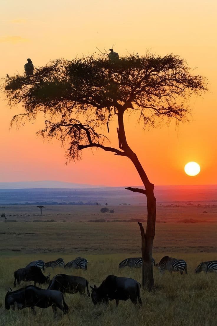 Nyerere safari photo