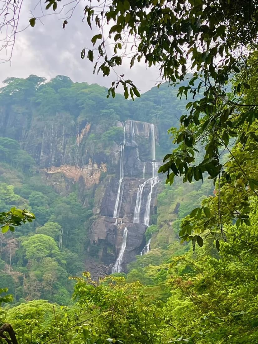 Udzungwa safari photo