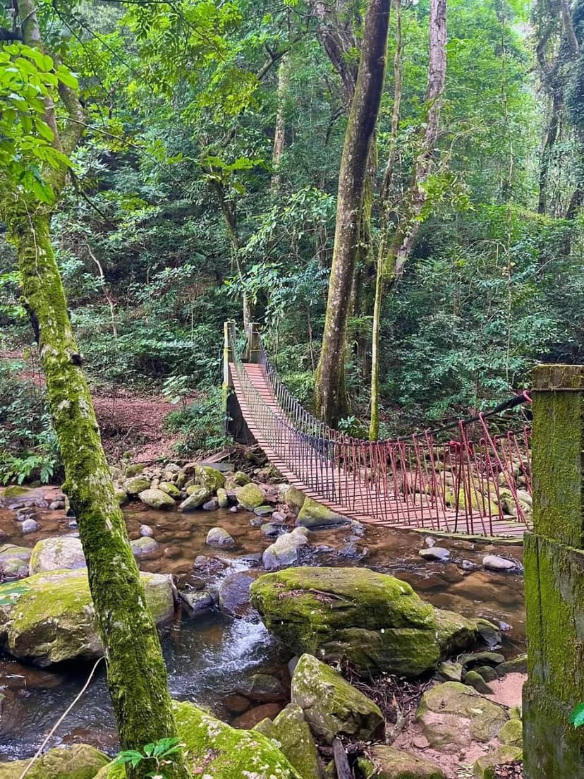 Udzungwa safari photo