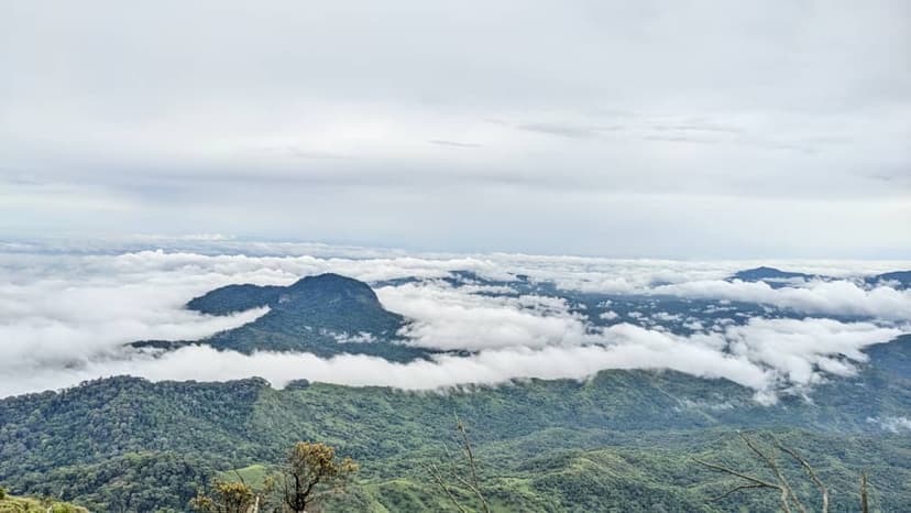 Udzungwa safari photo