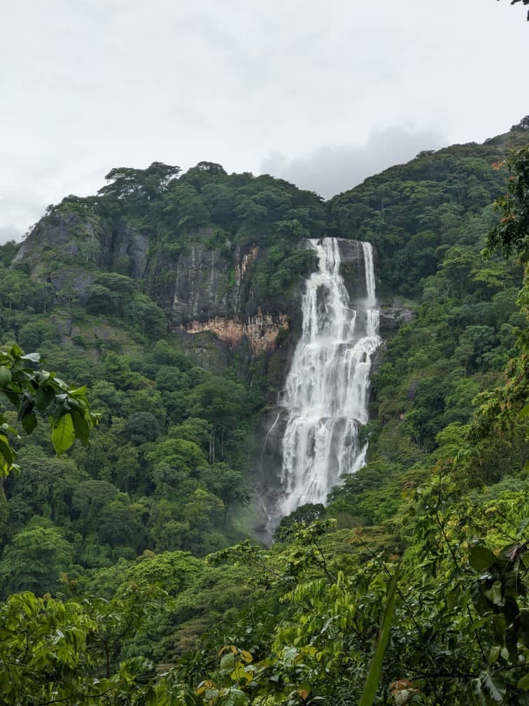 Udzungwa safari photo