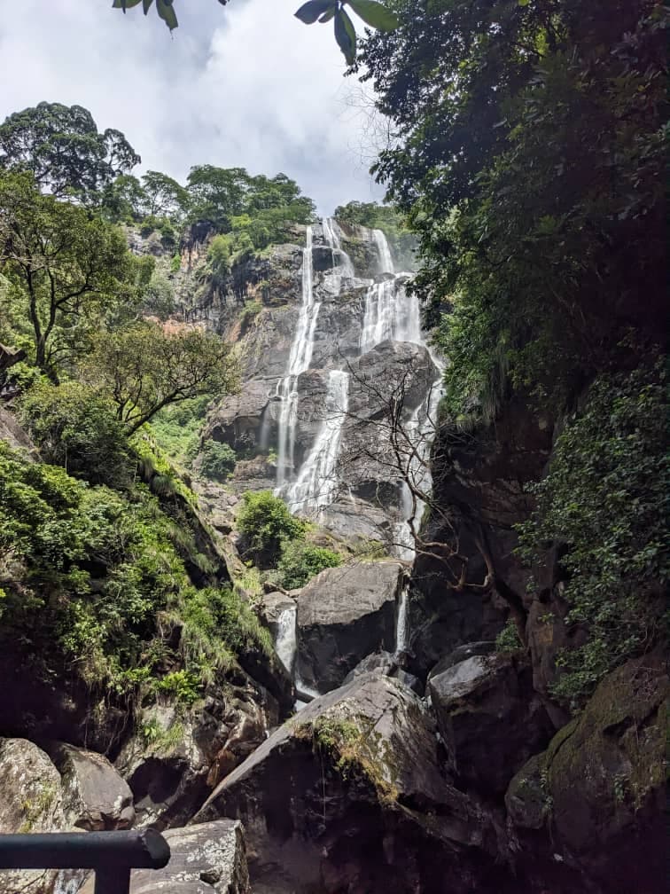 Udzungwa safari photo