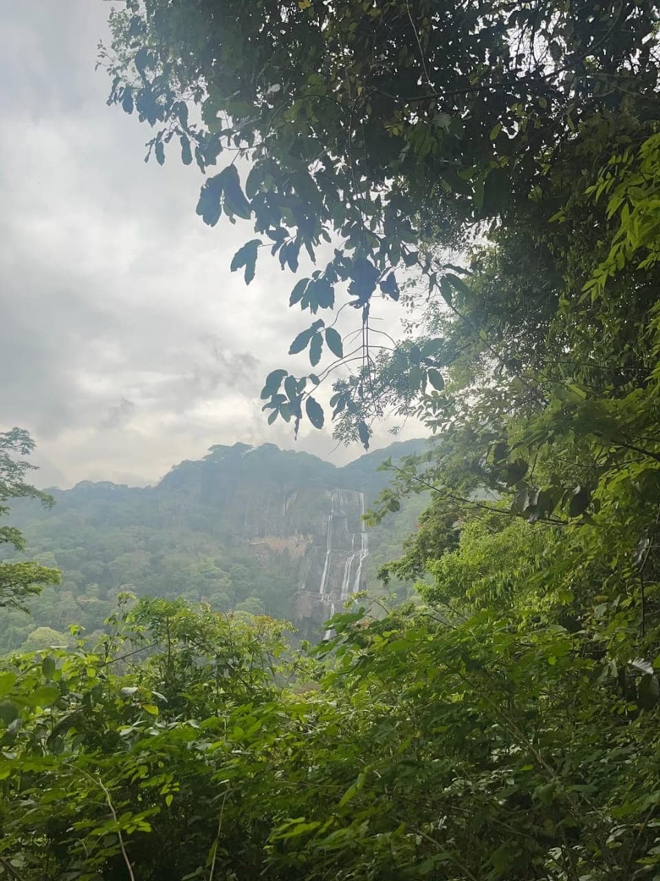 Udzungwa Mountains National Park